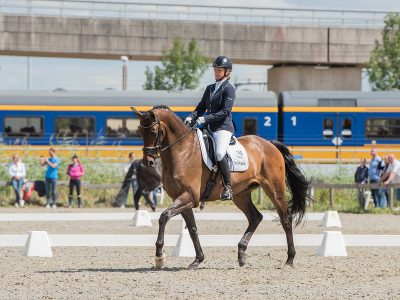 _DSC0516-
