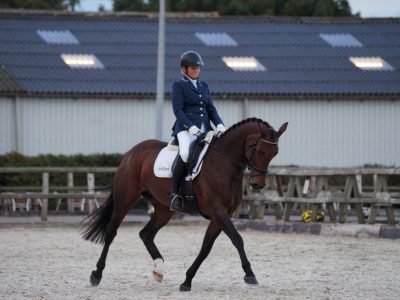dressuur tweedaagse Oostmoer