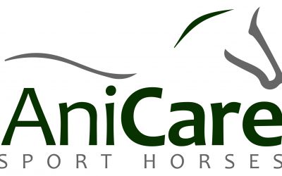 Logo 2016 Logo 2016