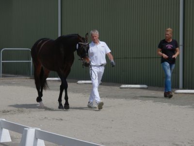 Studbook Inspection Alblasserdam