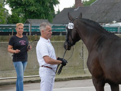 Studbook Inspection Oosteind
