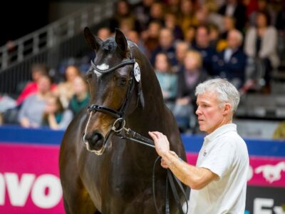 51437150_806392499735723_5297373638813548544_o