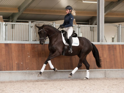2019_Kahlua_galop