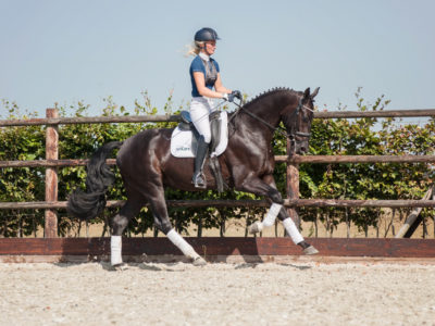 2019_Kingston_galop