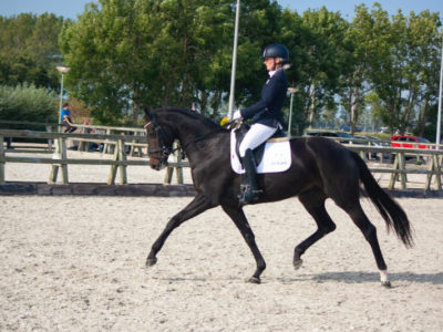 Crystal_Jilucienne_2019_800x534
