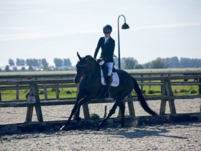 Shona_Kahlua_2019_800x534
